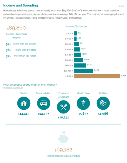 marana spending infographic